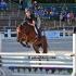 Horse Fair and Food Truck Festival
